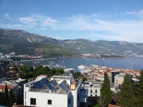 Гостиница Sea View Apartment  Будва